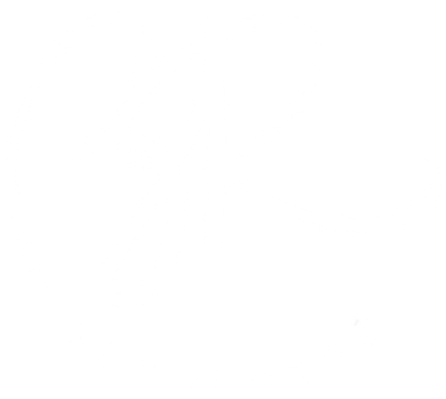 Bondi Rosé